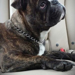 Meet your Posher, Wayne